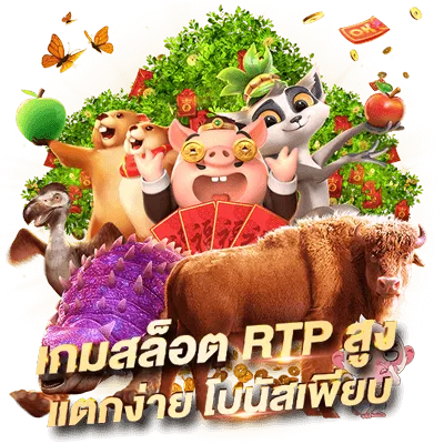 kmd888 เข้า สู่ ระบบ